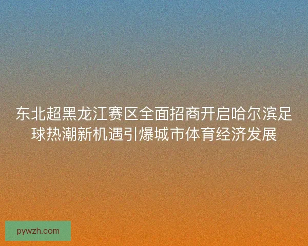东北超黑龙江赛区全面招商开启哈尔滨足球热潮新机遇引爆城市体育经济发展