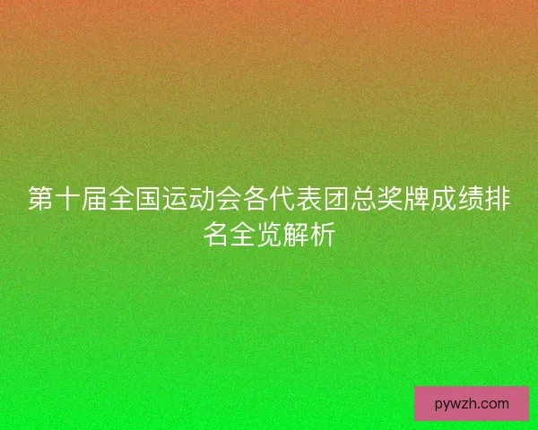 第十届全国运动会各代表团总奖牌成绩排名全览解析 第十届全国运动会各代表团总奖牌成绩排名全览解析