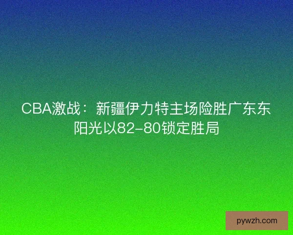 CBA激战:新疆伊力特主场险胜广东东阳光以82-80锁定胜局 CBA激战:新疆伊力特主场险胜广东东阳光以82-80锁定胜局