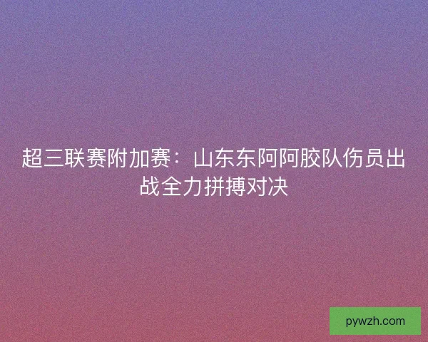 超三联赛附加赛:山东东阿阿胶队伤员出战全力拼搏对决 超三联赛附加赛:山东东阿阿胶队伤员出战全力拼搏对决
