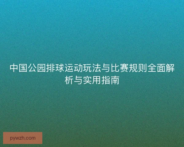 中国公园排球运动玩法与比赛规则全面解析与实用指南